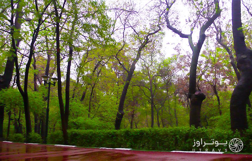 beautiful nature of Qeytariyeh park
